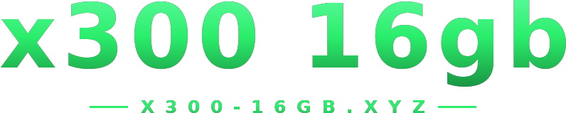 x300 16gb logo